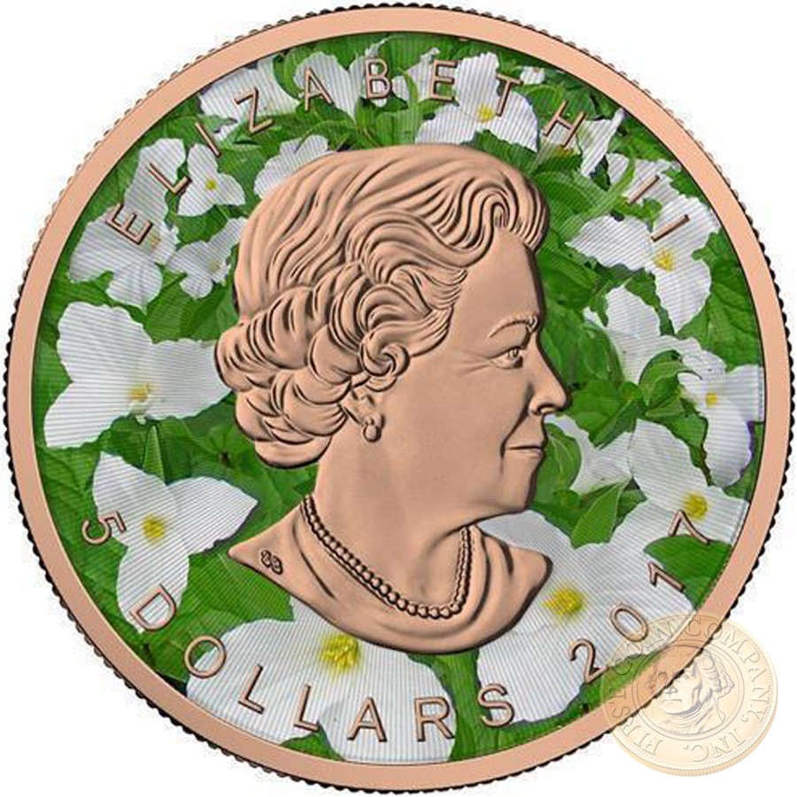 Canada CANADIAN FLOWERS Canadian Maple Leaf series THEMATIC DESIGN $5 Silver Coin 2017 Rose Gold plated 1 oz